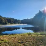 The Tilikum Lake on a sunny morning. It's a beautiful scene with something new to appreciate every day.