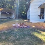 Learners reading on the grass out front of the schoolhouse