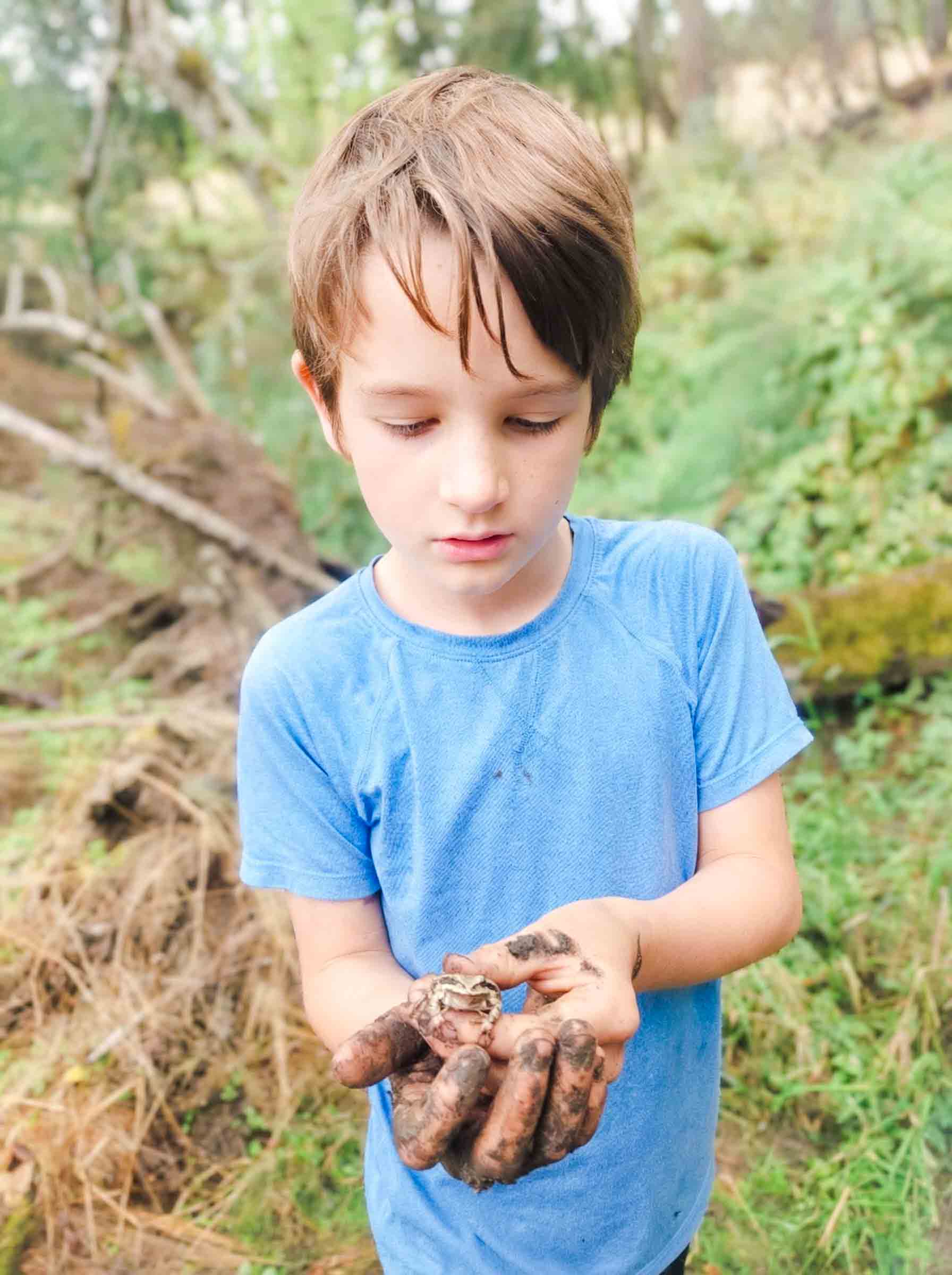 Spark Studio Learner with Frog